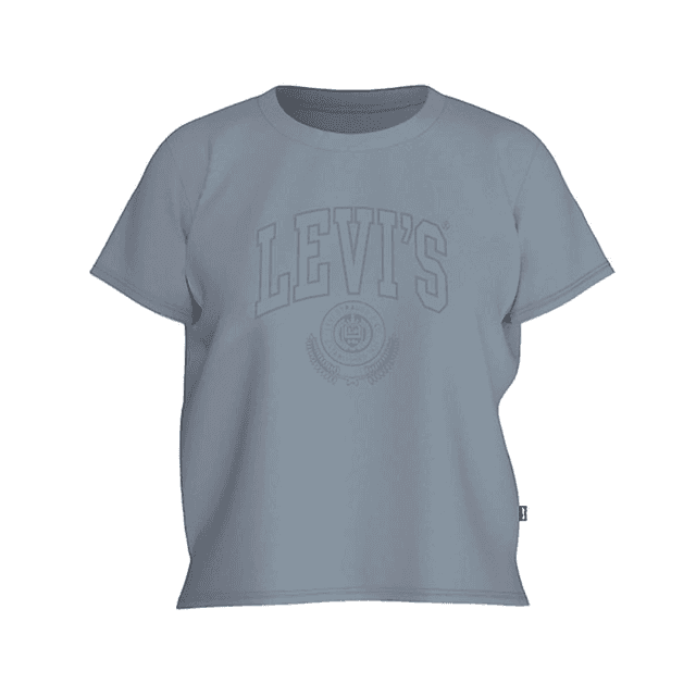 Levi's Graphic Boxy T-Shirt Arona
