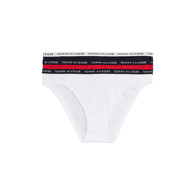 Tommy Hilfiger 3-Pack Logo Waistband Briefs Desert Sky/White/Primary Red