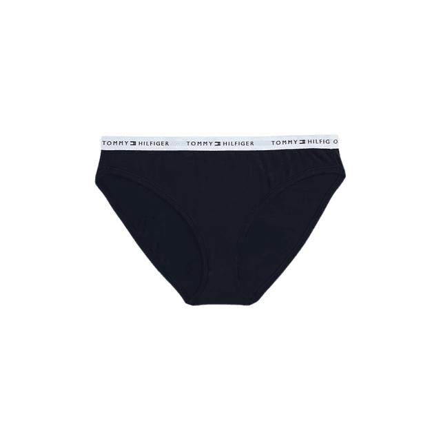 Tommy Hilfiger Repeat Logo Bikini Curve Desert Sky
