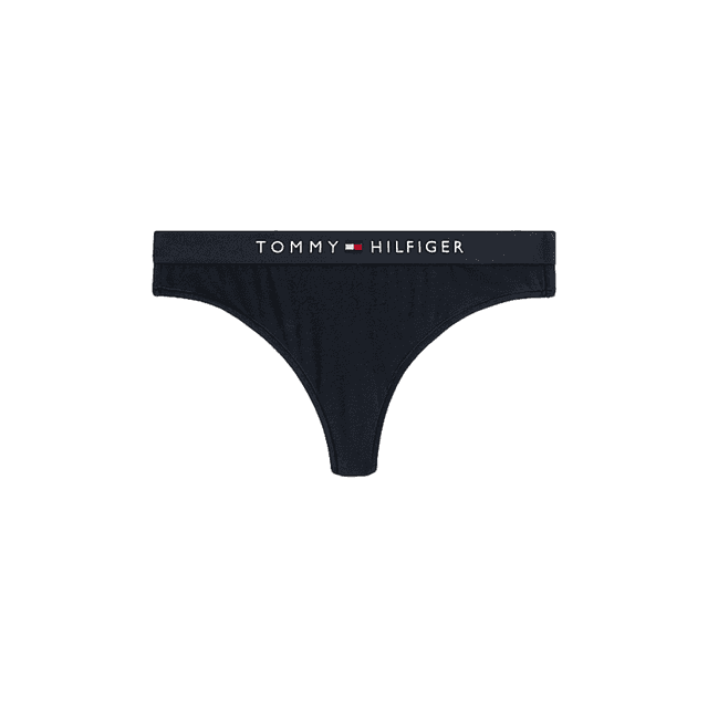 Tommy Hilfiger Original Logo Waistband Thong Desert Sky