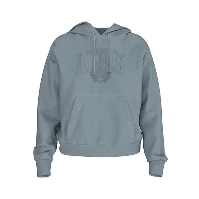 Levi's Graphic Heritage Hoodie Gd Arona