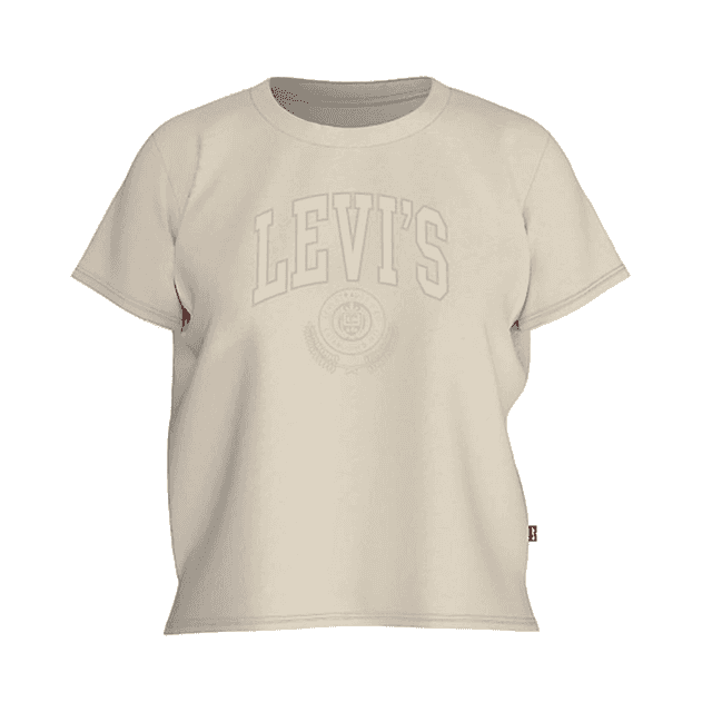 Levi's Graphic Boxy T-Shirt White Swan
