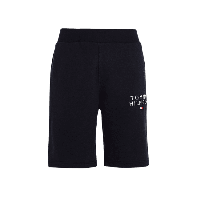 Tommy Hilfiger Logo HWK Shorts Desert Sky