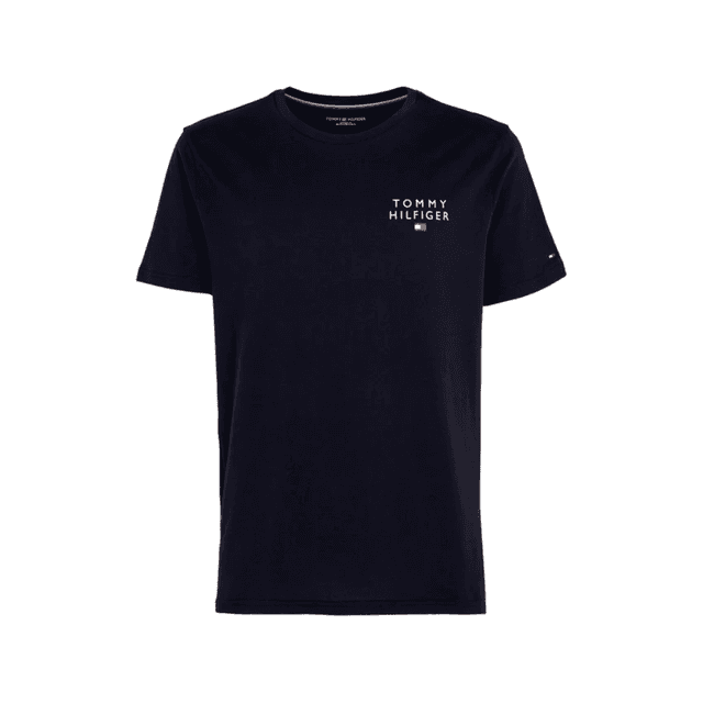 Tommy Hilfiger Short Sleeve Tee Desert Sky