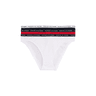 Tommy Hilfiger 3-Pack Logo Waistband Briefs Desert Sky/White/Primary Red swatch