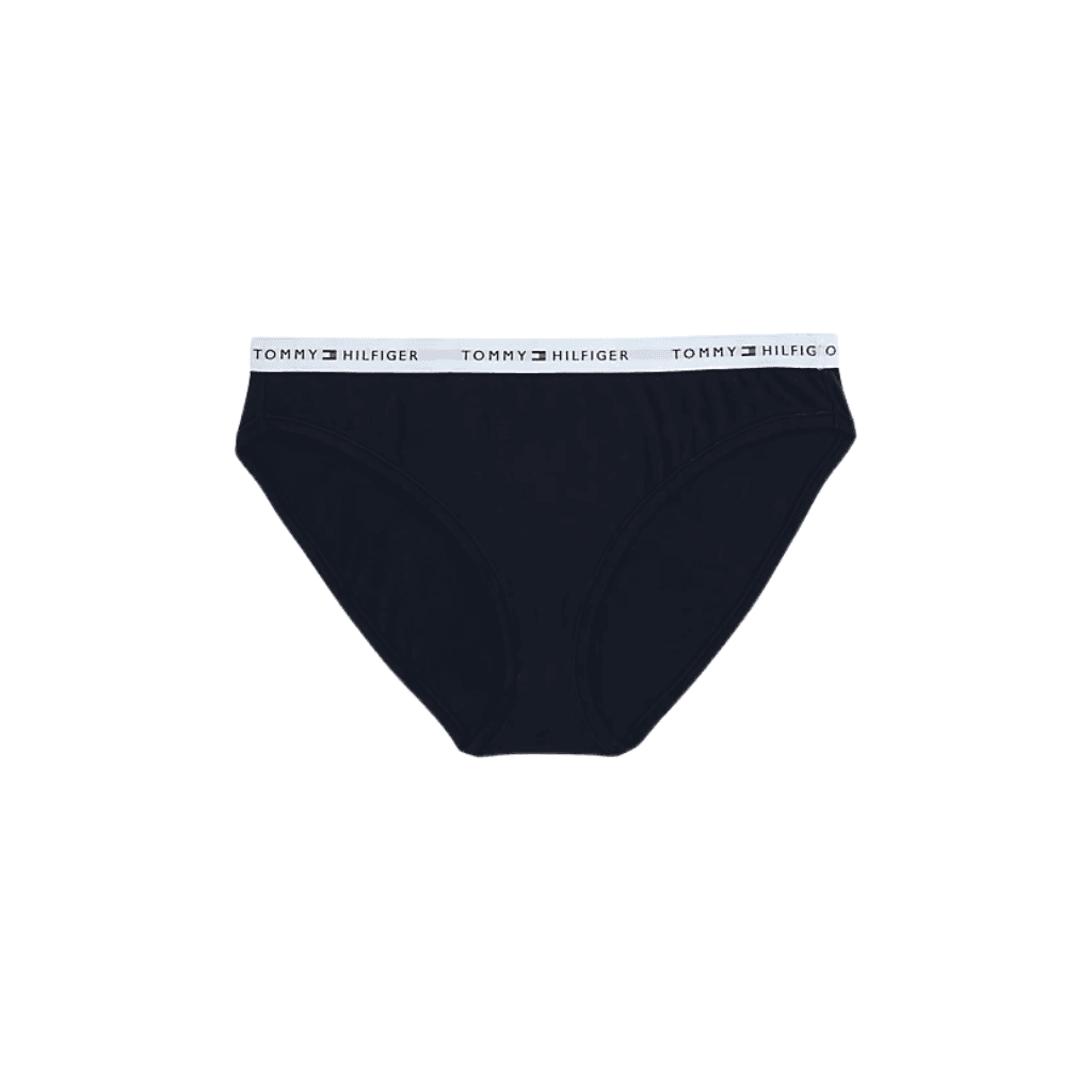 Tommy Hilfiger Repeat Logo Bikini Curve Desert Sky