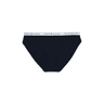 Tommy Hilfiger Repeat Logo Bikini Curve Desert Sky swatch