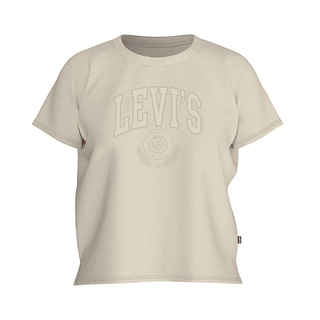 Levi's Graphic Boxy T-Shirt White Swan