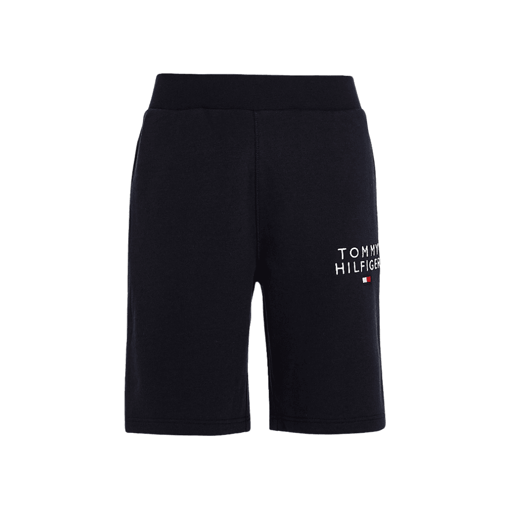 Tommy Hilfiger Logo HWK Shorts Desert Sky